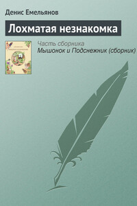 Лохматая незнакомка - Денис Эдвардович Емельянов