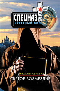 Святое возмездие - Михаил Георгиевич Серегин