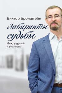 Лабиринты судьбы. Между душой и бизнесом - Виктор Владимирович Бронштейн