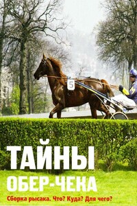 Тайны обер-чека. Сборка рысака. Что? Куда? Для чего? - Алла Полончук