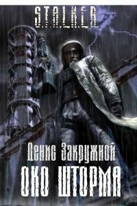 Око шторма - Денис Закружной
