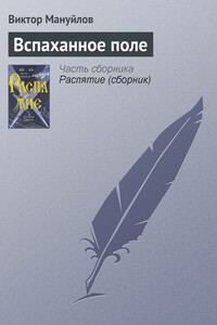 Вспаханное поле - Виктор Васильевич Мануйлов