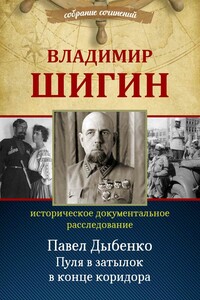 Павел Дыбенко. Пуля в затылок в конце коридора - Владимир Виленович Шигин