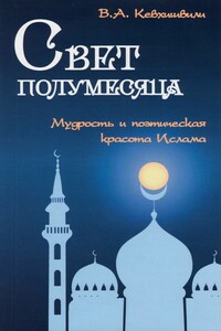 Свет полумесяца. Мудрость и поэтическая красота Ислама - Владимир Анзорович Кевхишвили