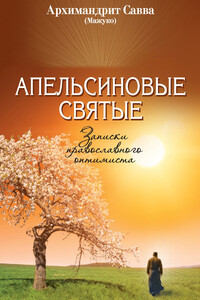 Апельсиновые святые. Записки православного оптимиста - Савва