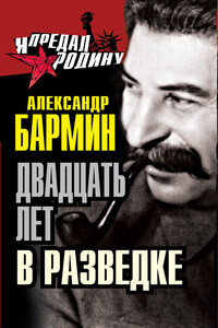 Двадцать лет в разведке - Александр Григорьевич Бармин