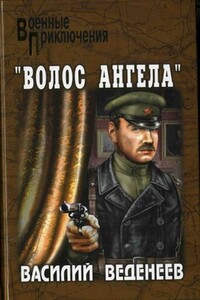 «Волос ангела» - Василий Владимирович Веденеев