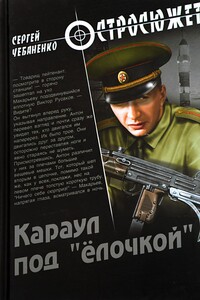 Караул под «ёлочкой» - Сергей Владимирович Чебаненко