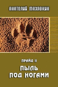 Пыль под ногами - Анатолий Анатольевич Махавкин