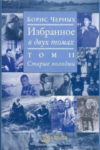Старые колодцы - Борис Иванович Черных