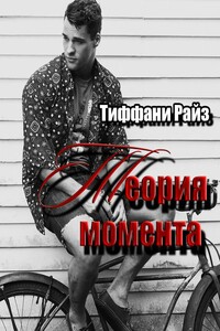 Теория момента - Тиффани Райз