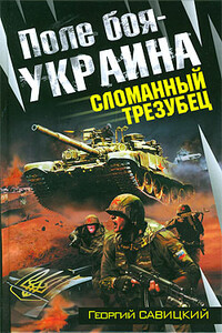 Поле боя — Украина. Сломанный трезубец - Георгий Валерьевич Савицкий