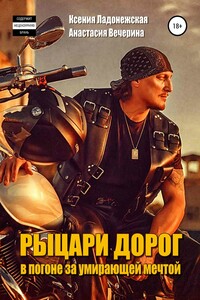 Рыцари дорог: в погоне за умирающей мечтой - Ксения Ладонежская, Анастасия Вечерина