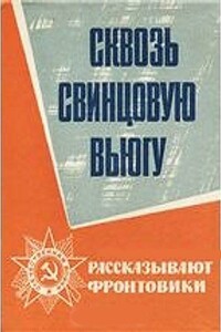 Сквозь свинцовую вьюгу - Николай Петрович Пустынцев