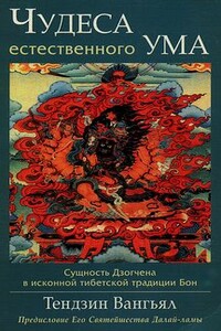 Чудеса естественного ума - Тендзин Вангьял Ринпоче