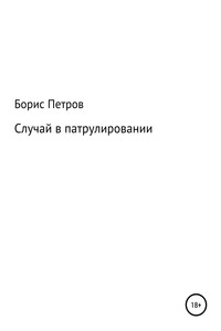 Случай в патрулировании - Борис Борисович Петров