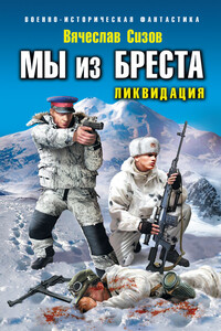 Ликвидация - Вячеслав Николаевич Сизов