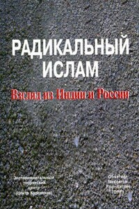 Радикальный ислам. Взгляд из Индии и России - Сергей Ервандович Кургинян