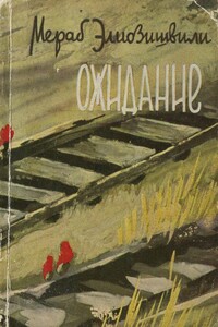 Ожидание - Мераб Абелович Элиозишвили