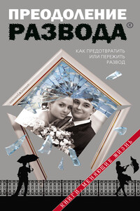 Преодоление развода - Дмитрий Геннадьевич Семеник