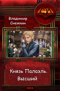 Князь Палаэль. Высший - Владимир Евгеньевич Снежкин