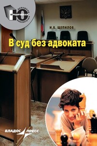 В суд без адвоката - Игорь Борисович Щепилов