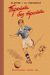 Тройка без тройки - Михаил Давидович Товаровский, Вс. Другов