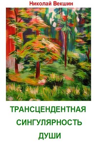 Трансцендентная сингулярность души - Николай Лазаревич Векшин