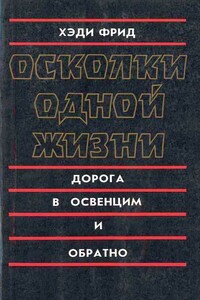 Осколки одной жизни. Дорога в Освенцим и обратно - Хэди Фрид