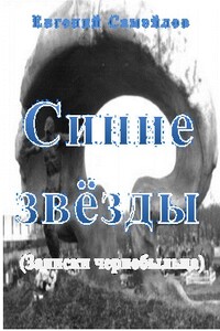 Синие звёзды - Евгений Алексеевич Самойлов