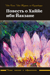 Повесть о Хаййе ибн Йакзане - Абу Али ибн Сина, Абу Бекр Мухаммед ибн Абд ал-Малик Ибн Туфейль