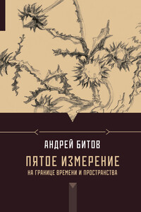 Пятое измерение. На границе времени и пространства - Андрей Георгиевич Битов