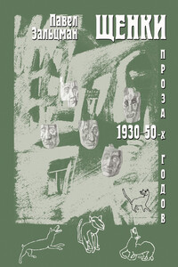 Щенки. Проза 1930–50-х годов - Павел Яковлевич Зальцман