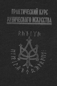 Практический курс рунического искусства - Антон Валерьевич Платов, Алекс ван Дарт
