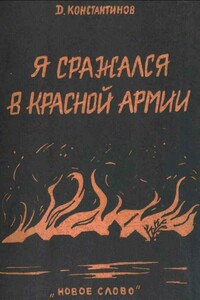 Я сражался в Красной Армии - Димитрий Васильевич Константинов