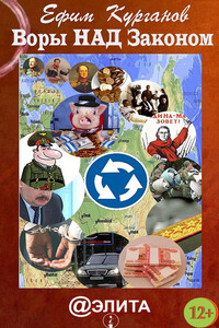 Воры над законом, или Дело Политковского - Ефим Яковлевич Курганов