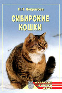 Сибирские кошки - Ирина Николаевна Некрасова