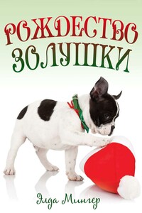 Рождество Золушки - Элда Мингер