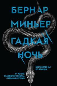 Гадкая ночь - Бернар Миньер