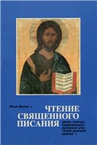 Чтение Священного Писания. Уроки святых, подвижников, духовных учителей Русской Церкви - Илья Викторович Басин