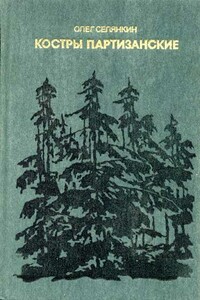 Костры партизанские. Книга 1 - Олег Константинович Селянкин