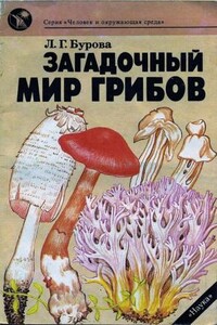 Загадочный мир грибов - Лидия Григорьевна Бурова
