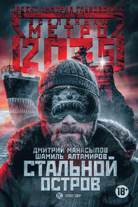 Стальной остров - Дмитрий Юрьевич Манасыпов, Шамиль Алтамиров