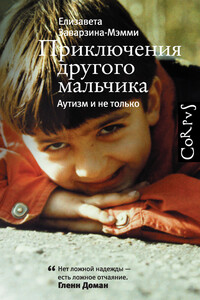 Приключения другого мальчика - Елизавета Заварзина-Мэмми