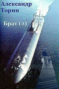 Брат (2) - Александр Торин