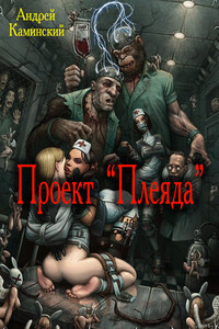 Проект "Плеяда" - Андрей Игоревич Каминский