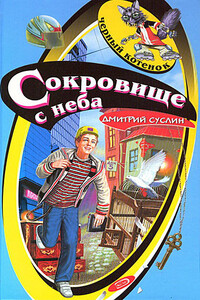 Сокровище с неба - Дмитрий Юрьевич Суслин