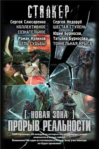 Прорыв реальности - Юрий Николаевич Бурносов, Роман Владимирович Куликов