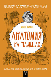 Анатомия на пальцах - Андрей Левонович Шляхов