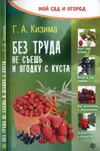 Без труда не съешь и ягодку с куста - Галина Александровна Кизима